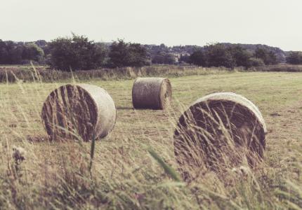 Bales of hay